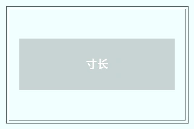 寸长