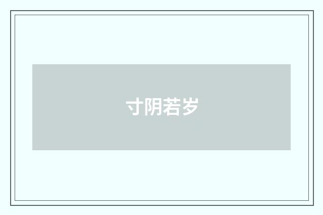 寸阴若岁