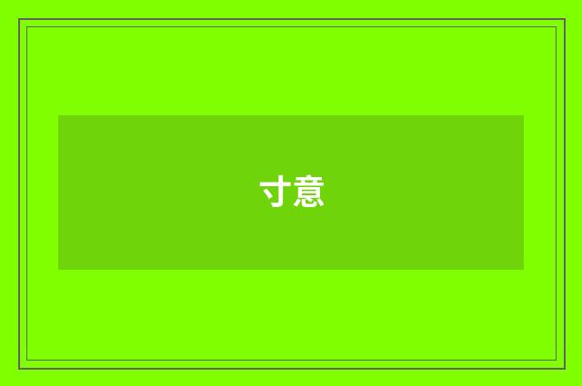 寸意