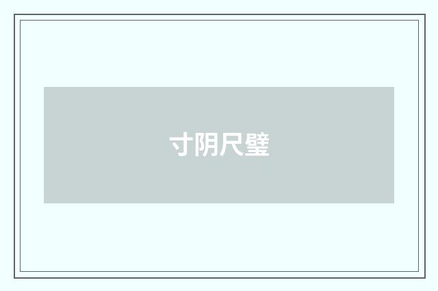 寸阴尺璧