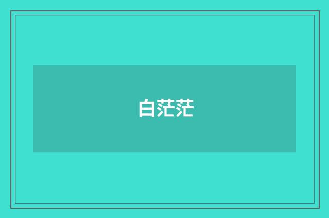 白茫茫