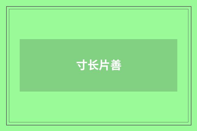 寸长片善