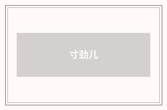寸劲儿