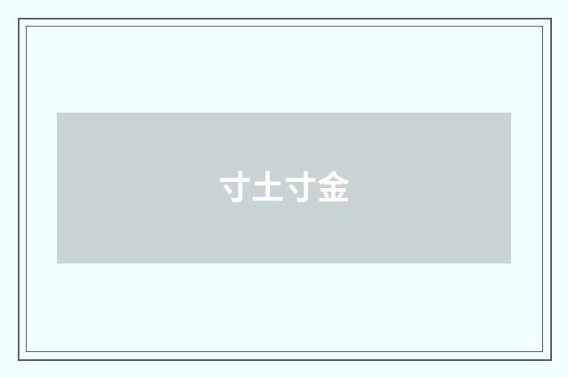 寸土寸金