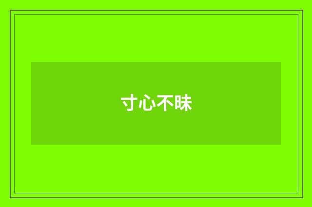 寸心不昧
