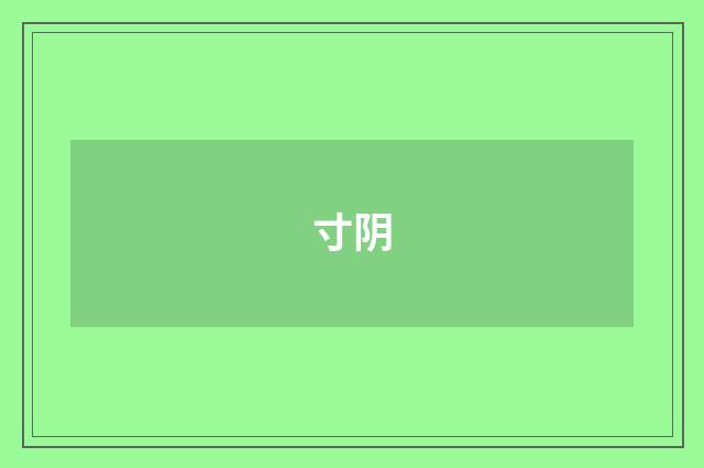 寸阴