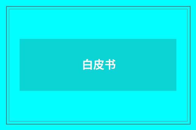 白皮书