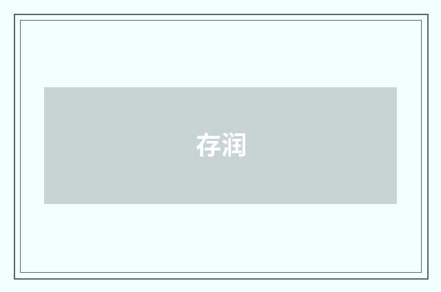 存润