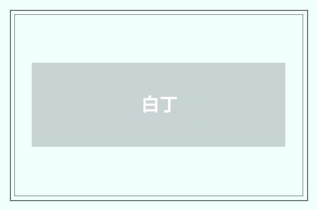 白丁