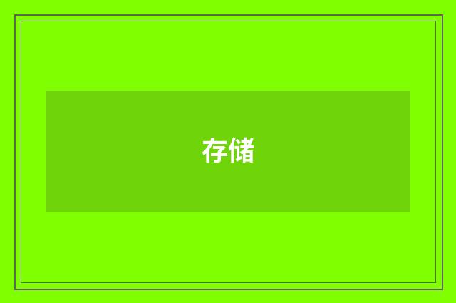 存储