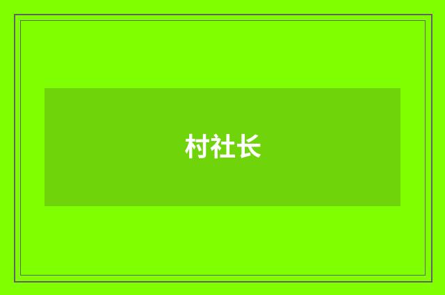 村社长