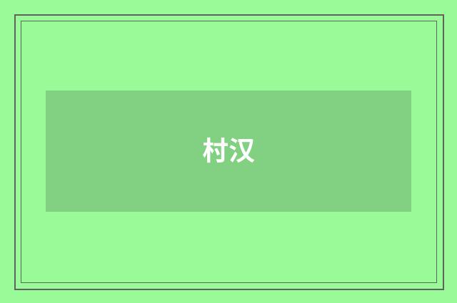 村汉