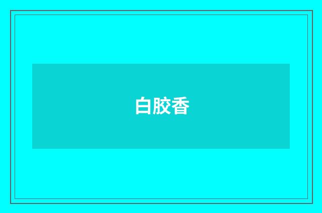 白胶香