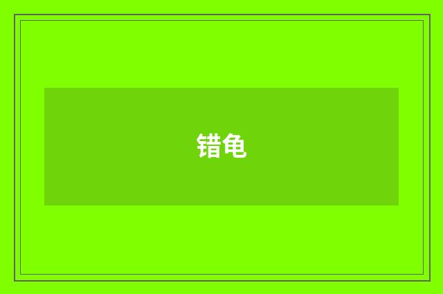 错龟