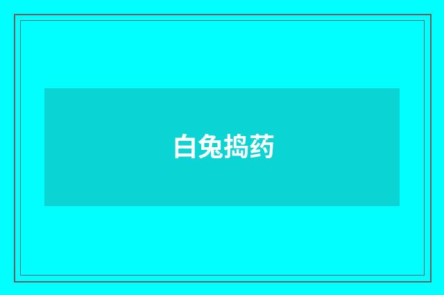 白兔捣药