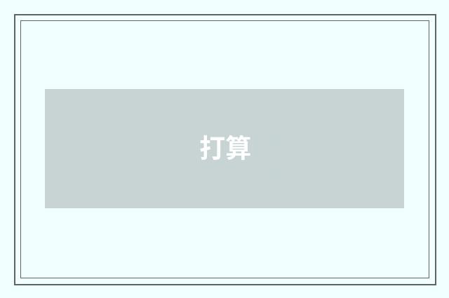 打算