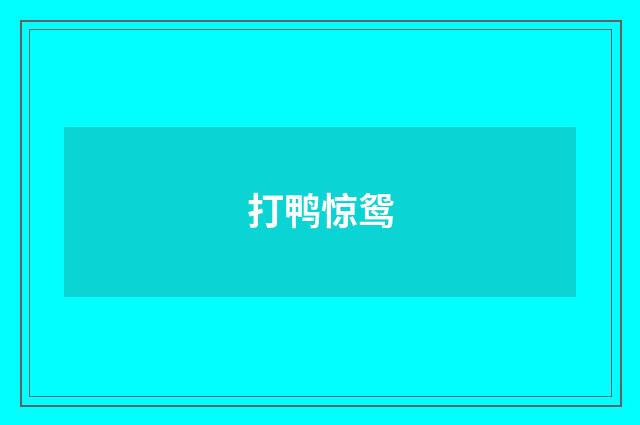 打鸭惊鸳