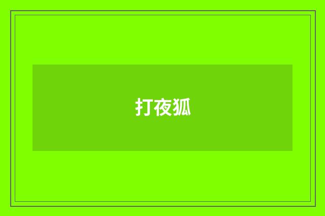 打夜狐