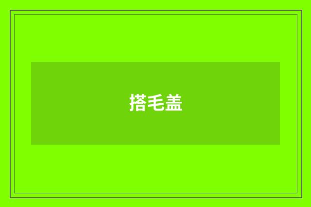 搭毛盖
