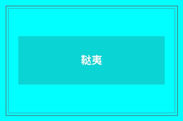 鞑夷