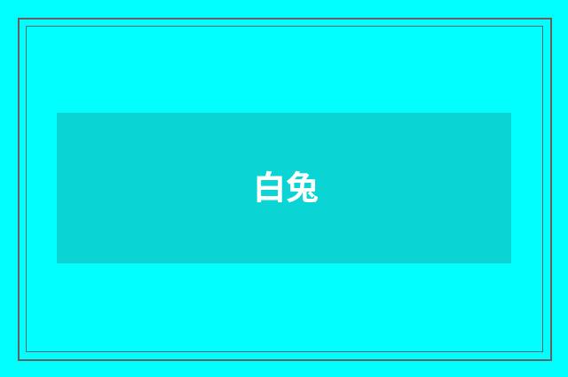 白兔