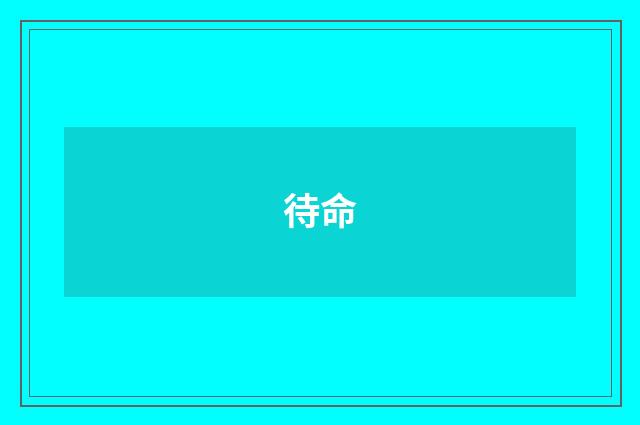 待命