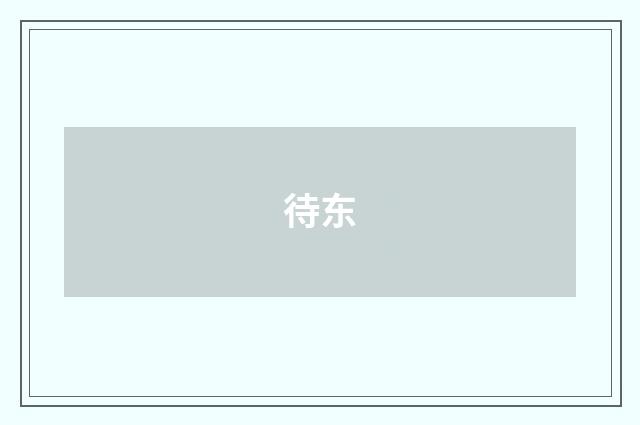待东