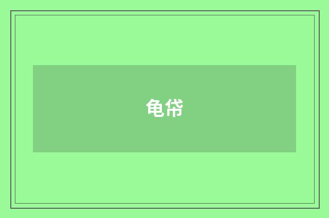 龟帒