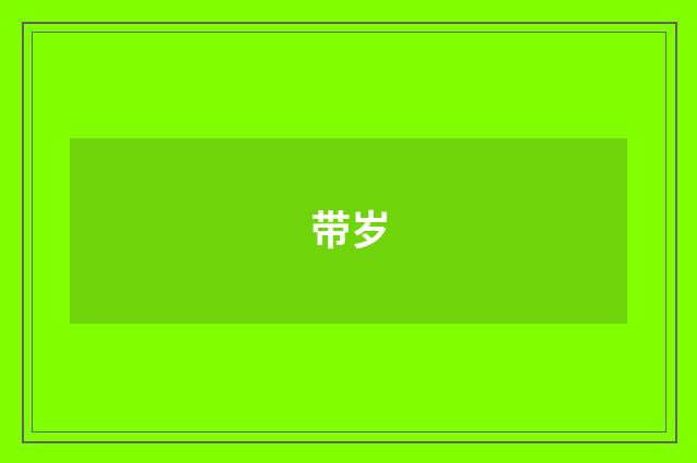 带岁