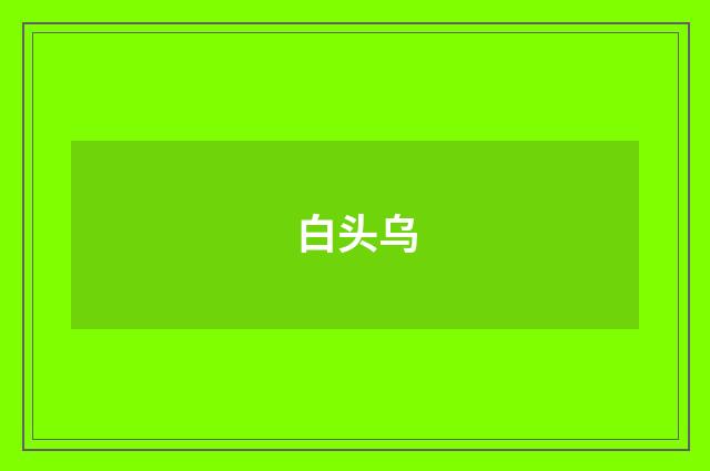 白头乌