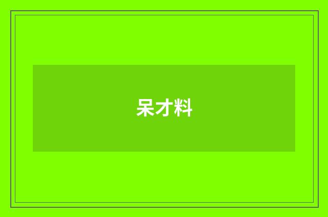 呆才料