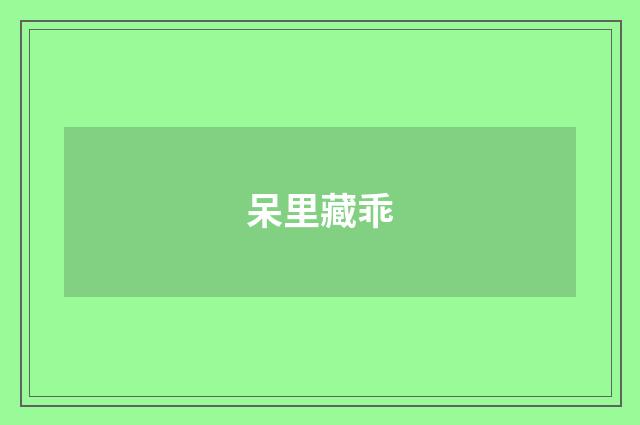 呆里藏乖