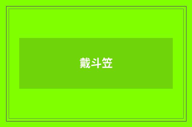 戴斗笠
