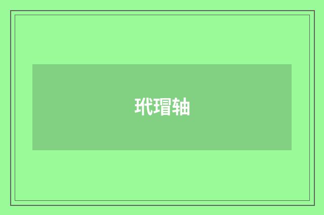 玳瑁轴