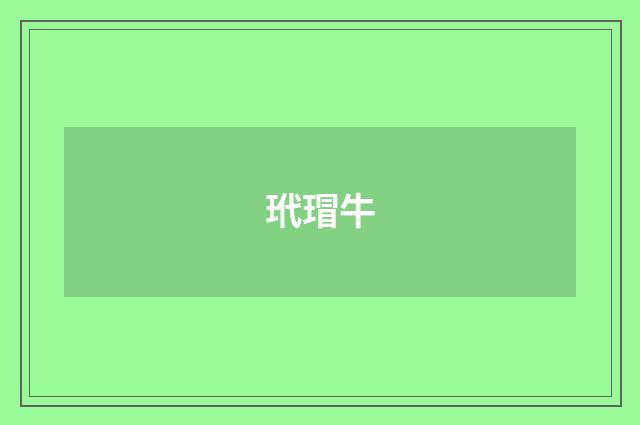 玳瑁牛