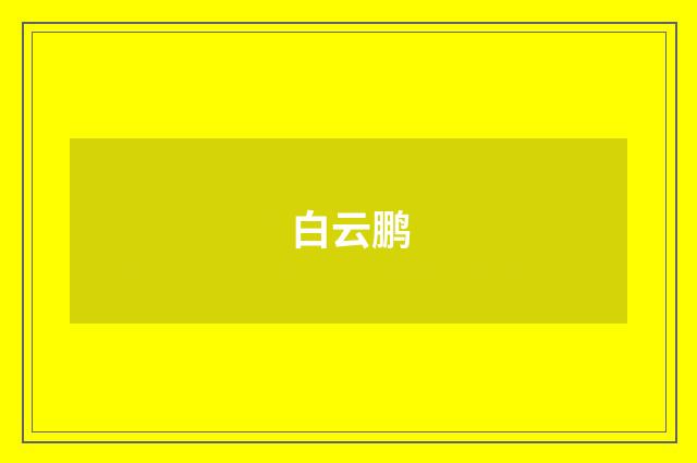 白云鹏