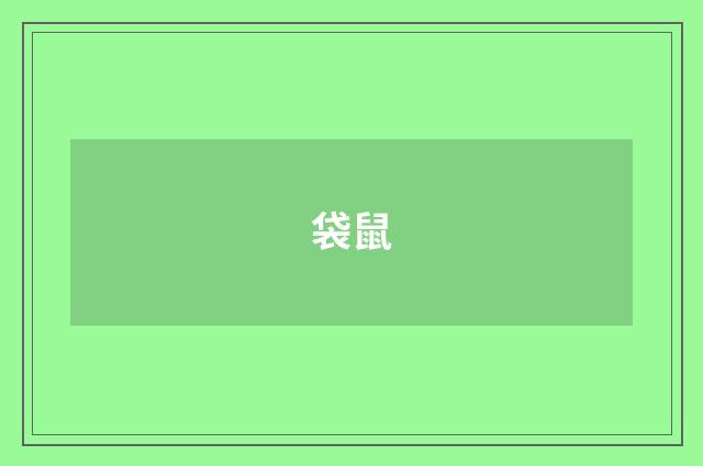 袋鼠