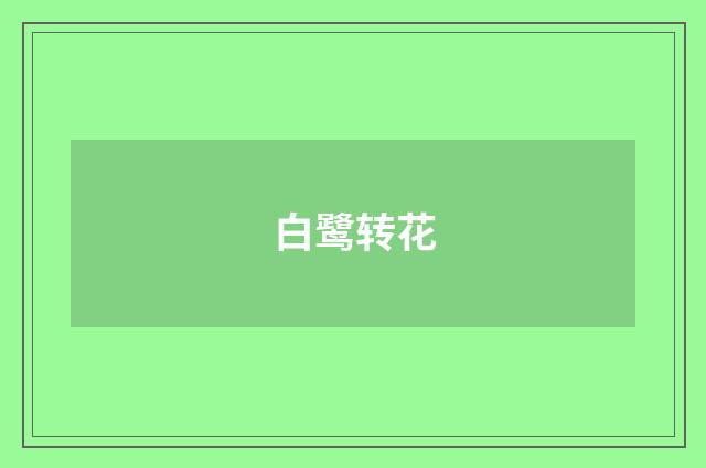 白鹭转花