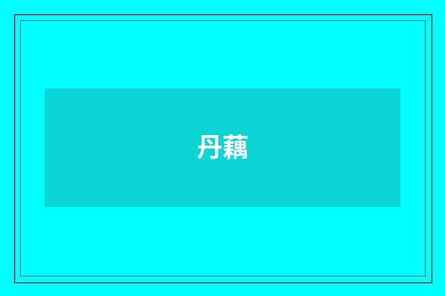 丹藕