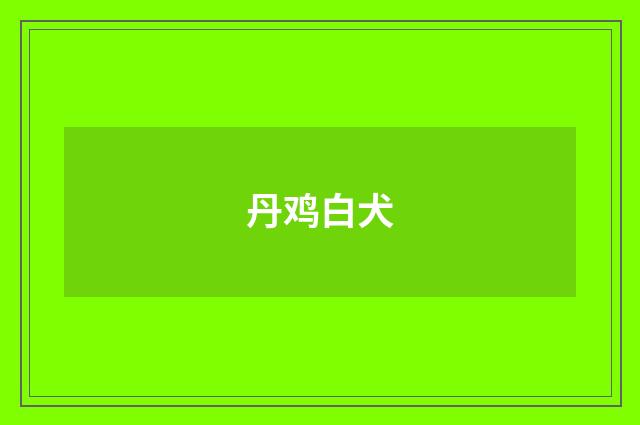 丹鸡白犬