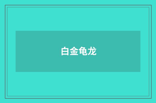 白金龟龙