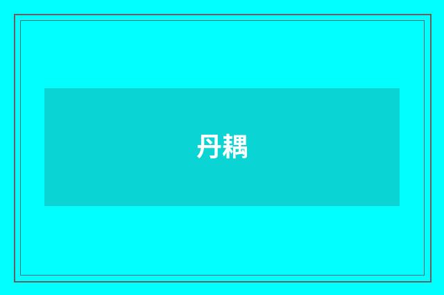 丹耦
