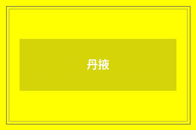 丹掖