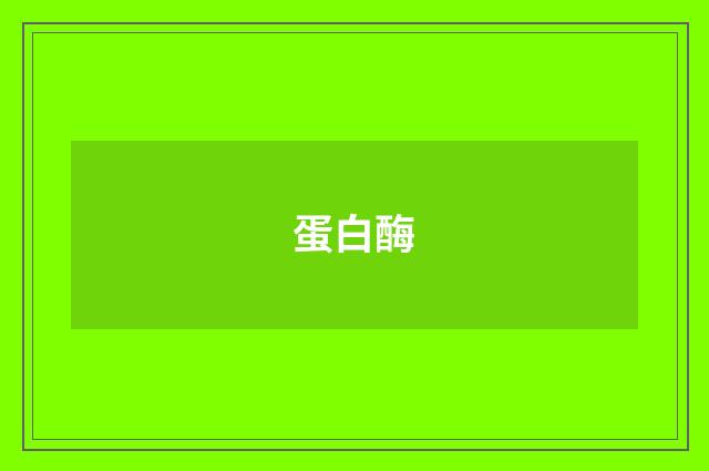 蛋白酶