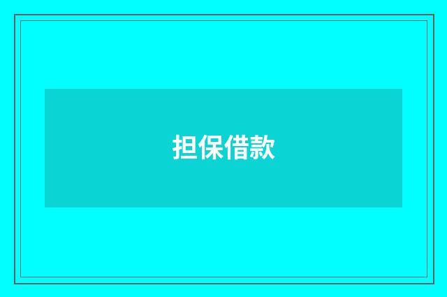 担保借款