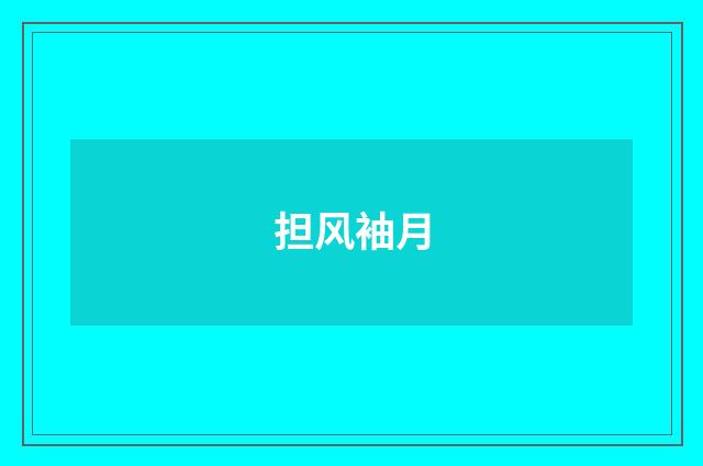 担风袖月