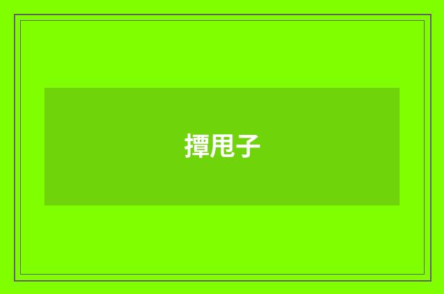 撢甩子