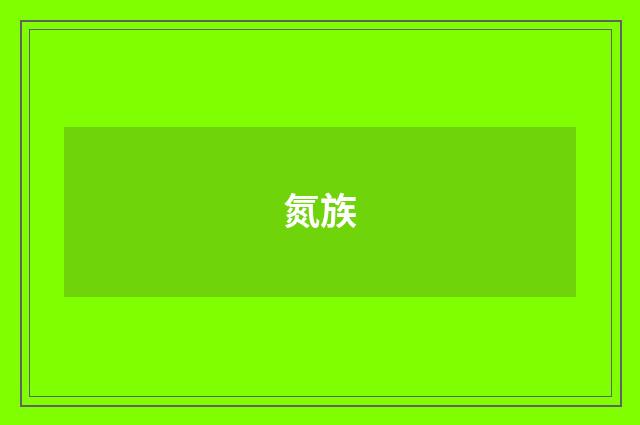 氮族