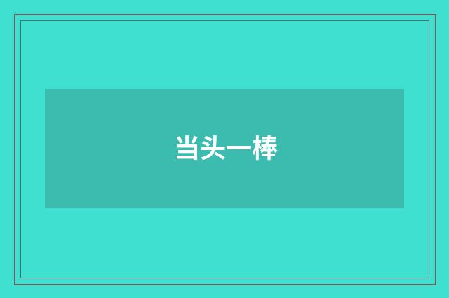 当头一棒