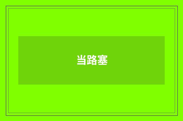 当路塞